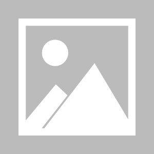 日职乙：甲府风林vsRB大宫松鼠比分推荐 甲府风林五连不败，大宫松鼠能否反客为主